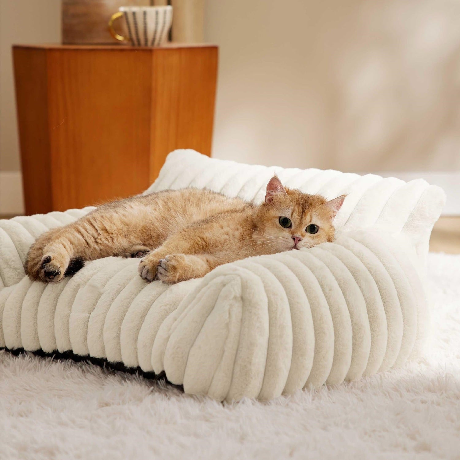 Beds Furniture & Comfort